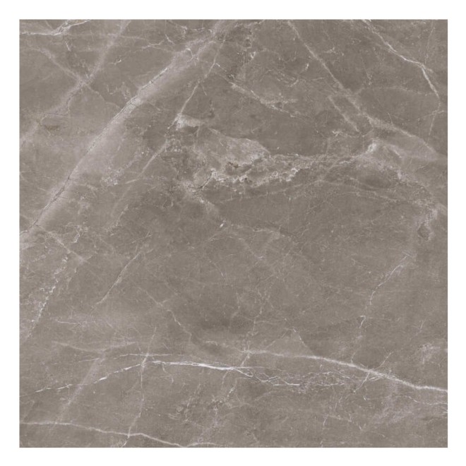 Fior di Bosco Noce Silk Vloertegel 120x120 cm